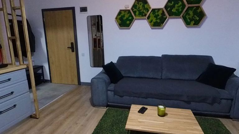 Evergreen Apartment: livingul cu canapea